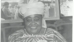 Hajiya Gambo Sawaba: The Fearless Nigerian Activist Who Fought for Women's Rights