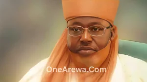 Emir Abubakar of Hadejia – The Visionary Leader Behind Hadejia’s Cultural and Community Development